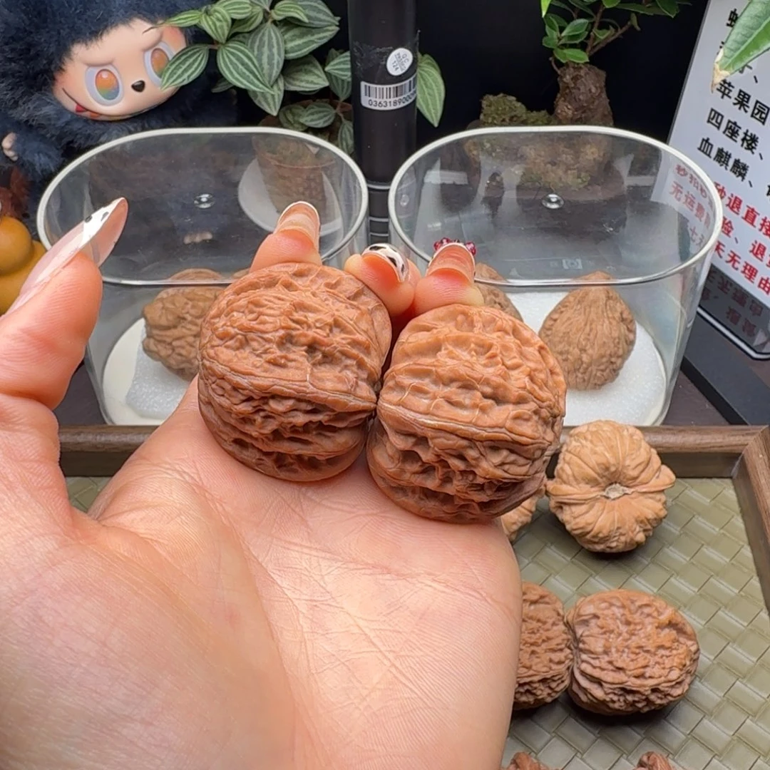 核桃全品血磨40尺