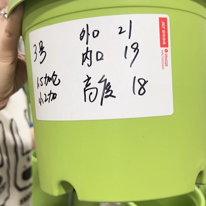 特价3四季口21高19果绿无托10只