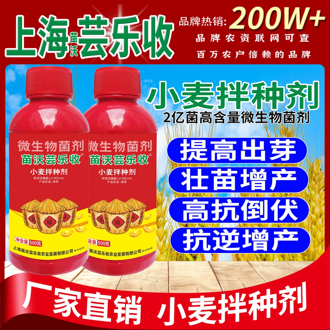 苗沃芸乐收小麦专用拌种剂提高出芽苗齐苗壮微生物菌剂小麦拌种剂