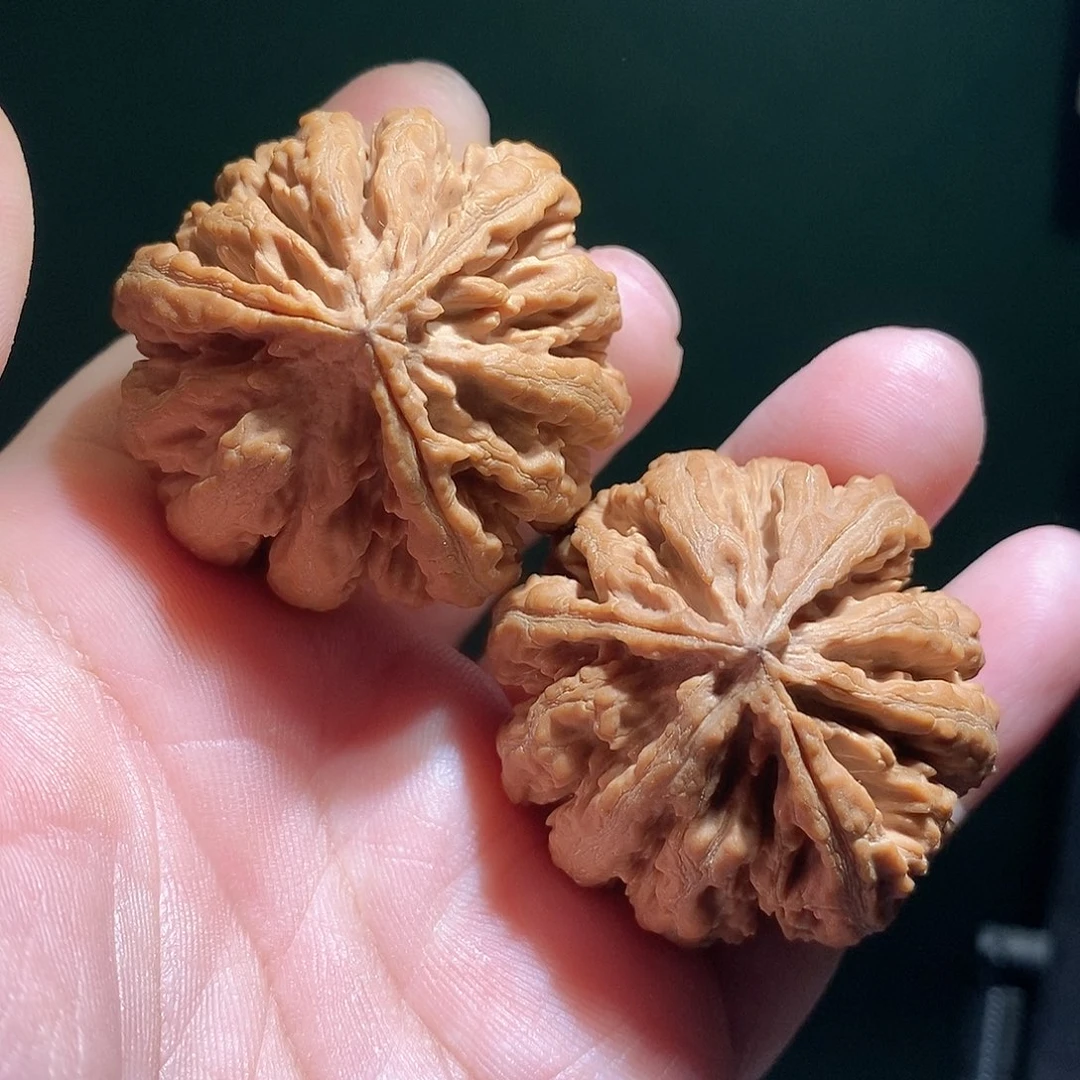 K***e文玩核桃把件43霸王龙三棱全品