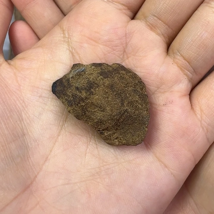 伟业香堂越南品香料九分沉3克