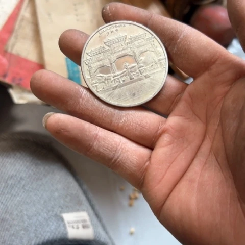 核桃木/黑胡桃（胡桃木）晴*?