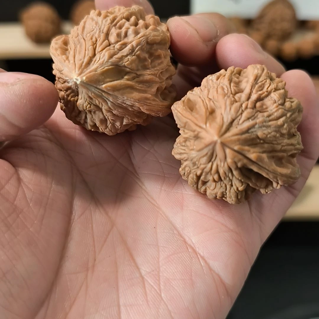 吊坠文玩核桃41大沽石