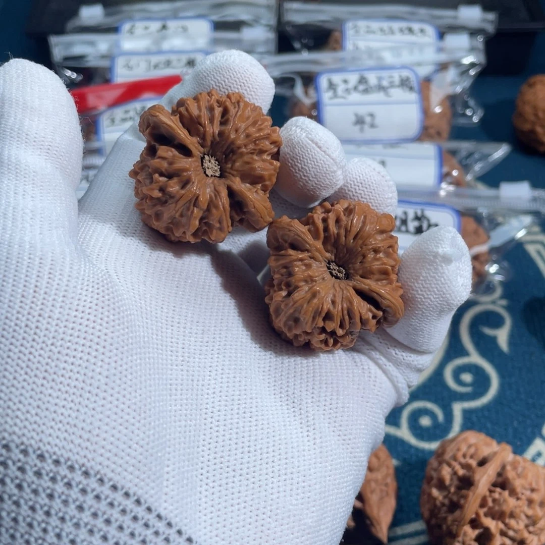 草****^39龙门涧！！！！！！！！！！！！