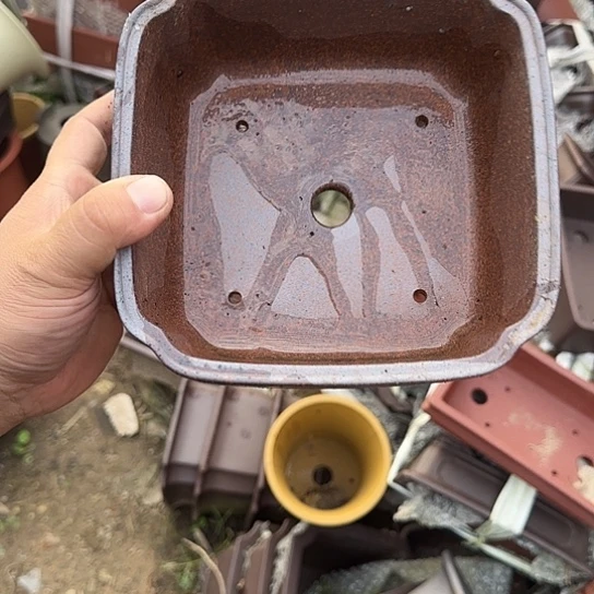 是一个集休闲农业的休闲胜地以及现代生活