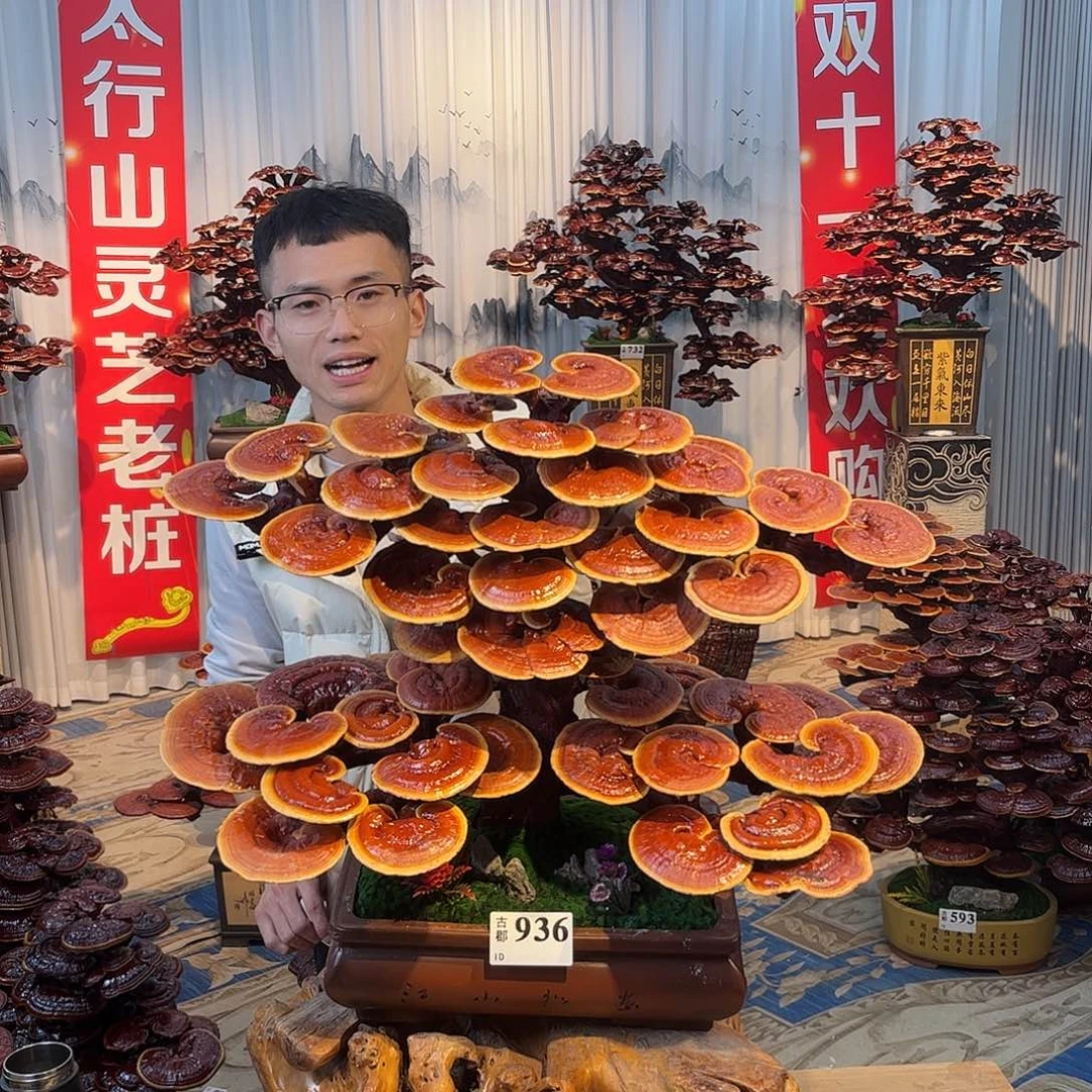 无花朵8888888888888