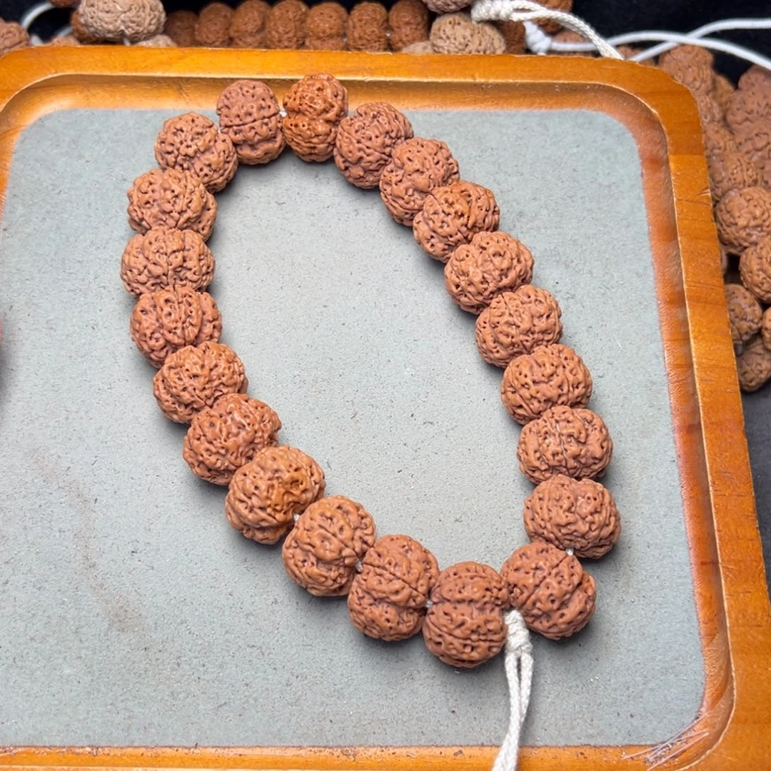 菩提23号金刚菩提矮桩梅花手持22