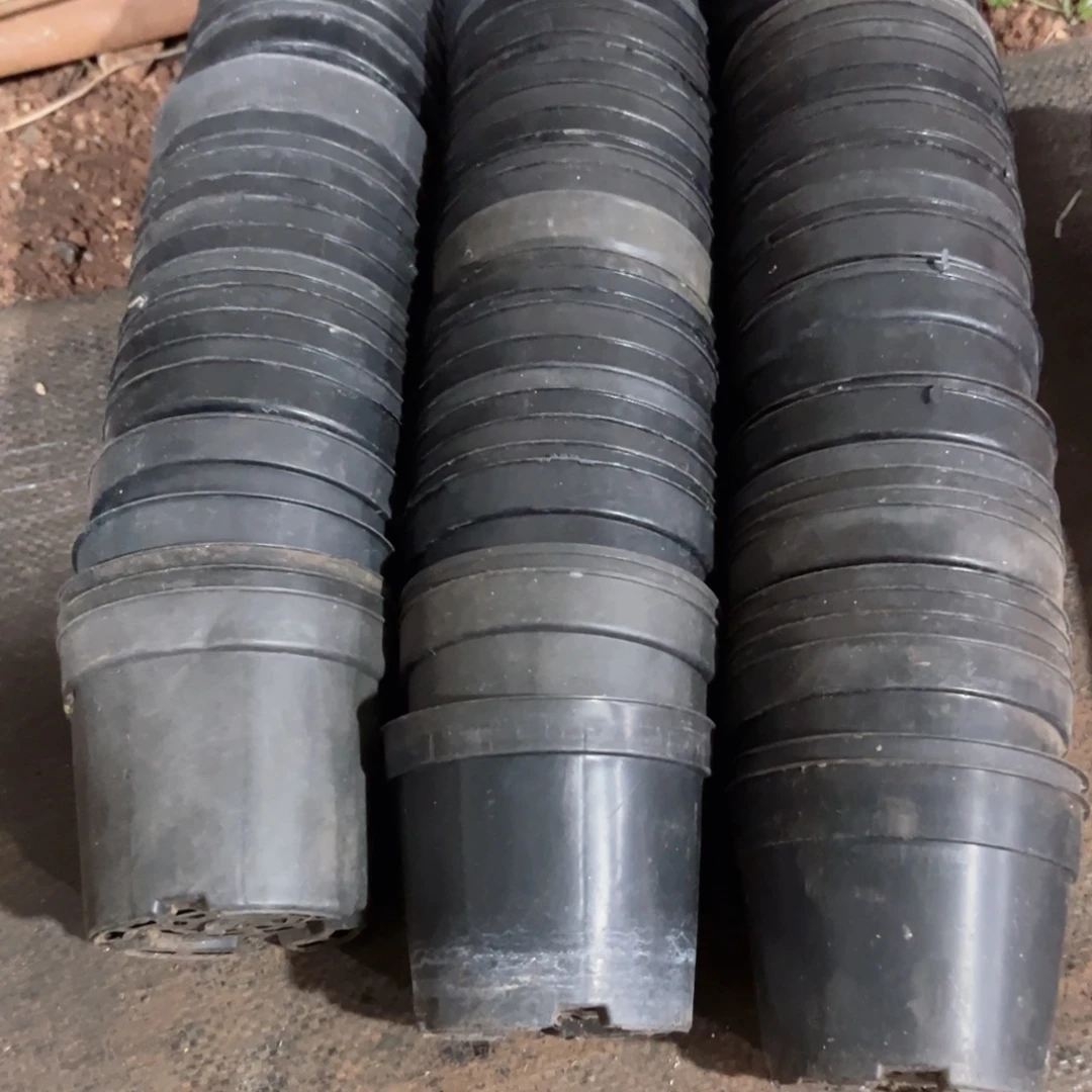 矮胖盆10口径8高 3条打包