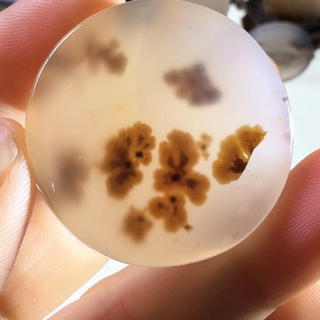 玛瑙/玉髓未镶嵌珠宝半成品