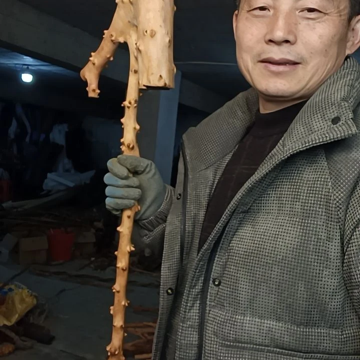 稳定木江**晚贵州檬子木   铁马鞭   根艺  半成品