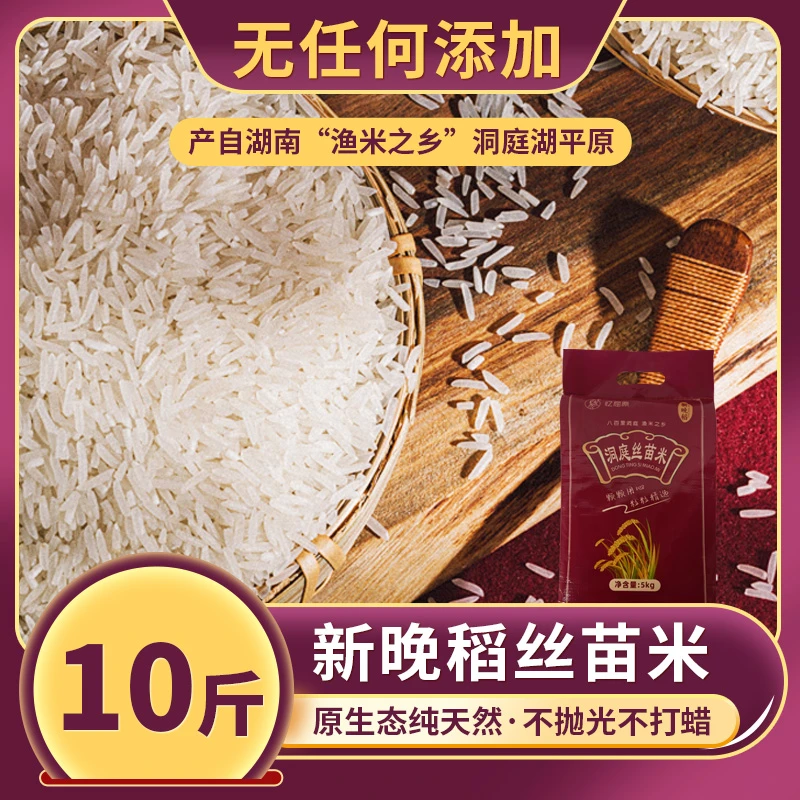 【25年新米】10斤长粒香丝苗米农家洞庭大米现磨现发营养稻花清香甜