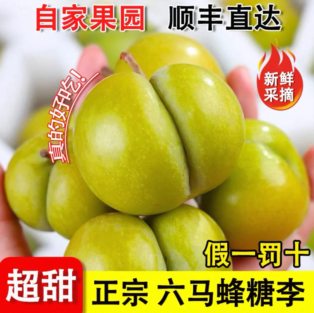 贵州六马正宗蜂糖李新鲜应季水果现摘现发脆甜多汁