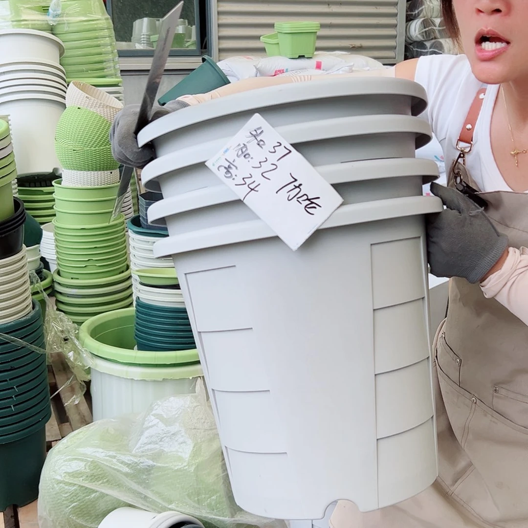 瑕疵玫瑰370#灰白色4个无托