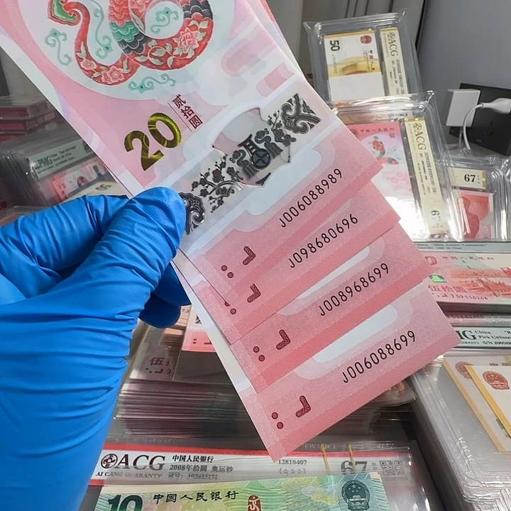 纸蛇圆圆单张价格