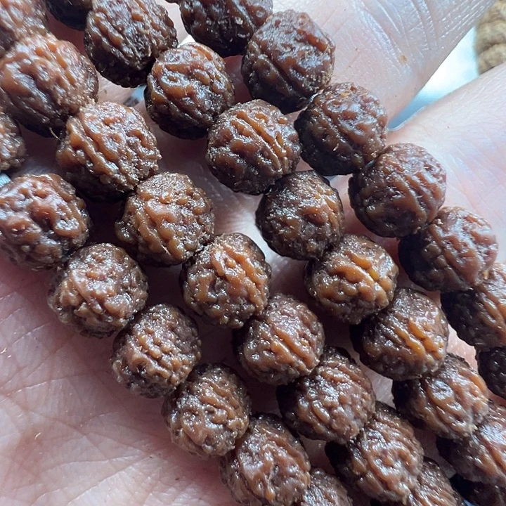 金刚菩提吊坠7.8m精品一代龙