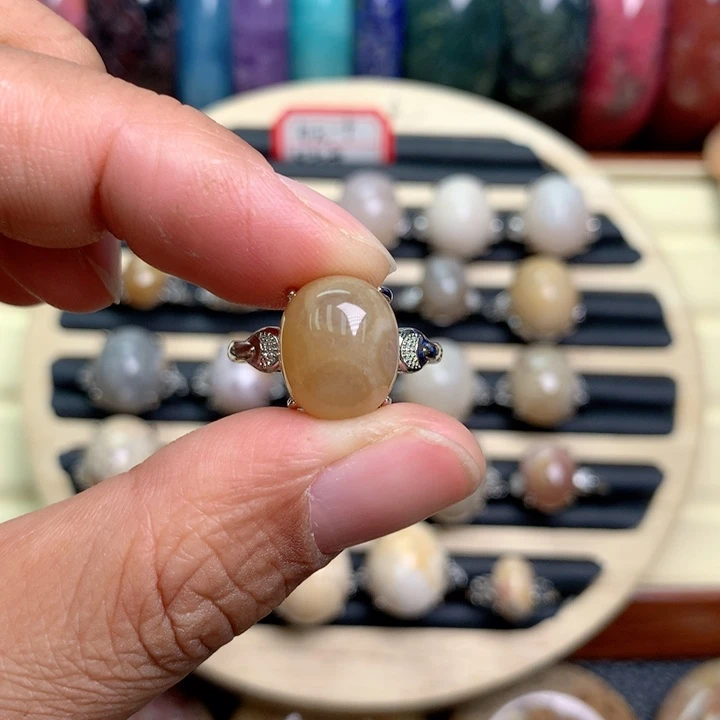 硅化珊瑚（珊瑚玉）未镶嵌颈饰淺*