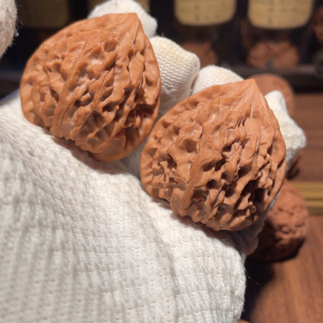 核桃43高庄龙门涧mm