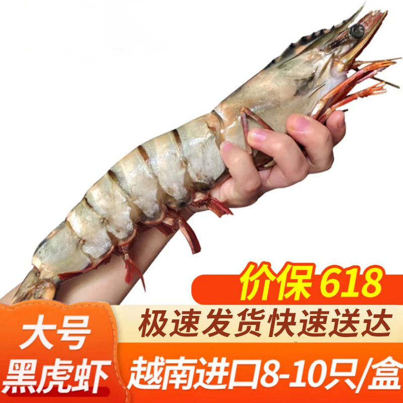 弹指鲜生特大号黑虎虾对虾夜宵烧烤食材 巨型23-26cm