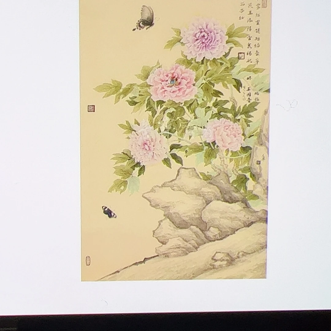 郑***咚（w5057）花鸟 书画