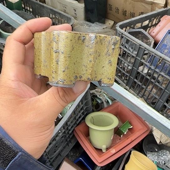 一哈来我这儿吃饭啊亲爱的