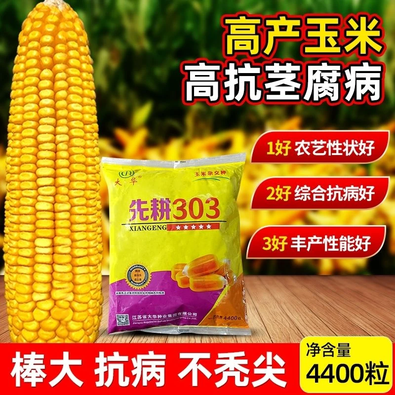 先耕303国审玉米种子4400粒