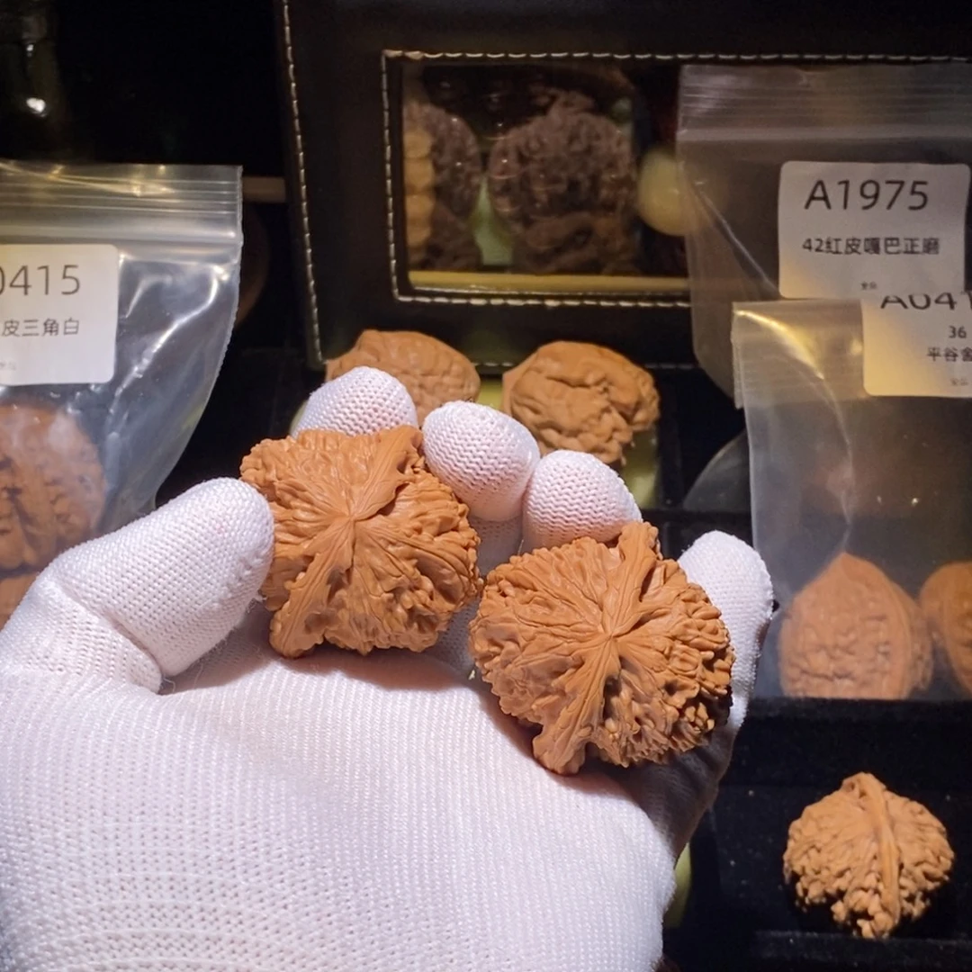 㣻***罖文玩核桃吊坠40微修白狮子不退不换