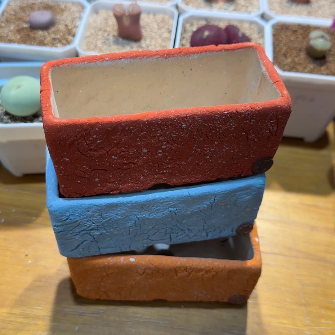 红陶牛**作当然当然当然当然