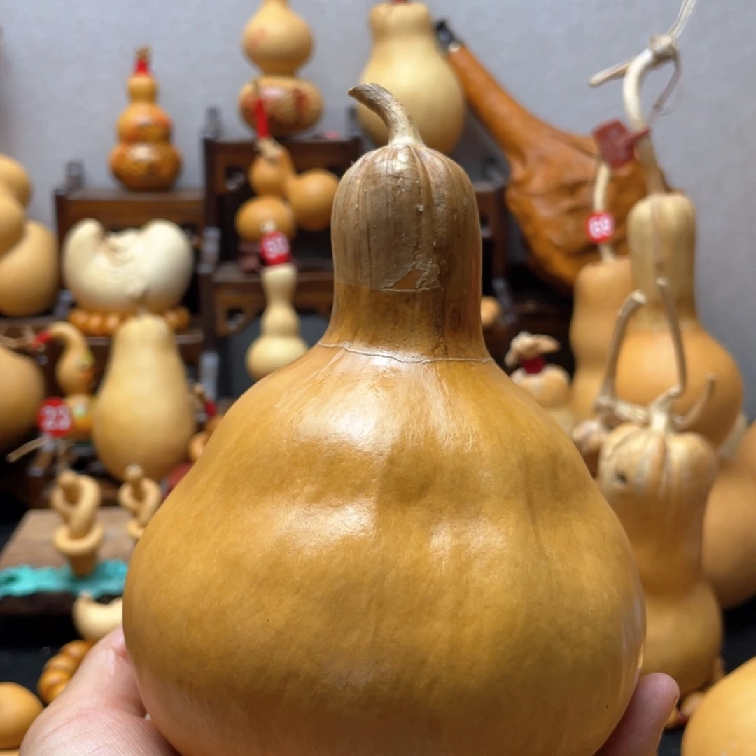 时****下大自然的秘密第十一节