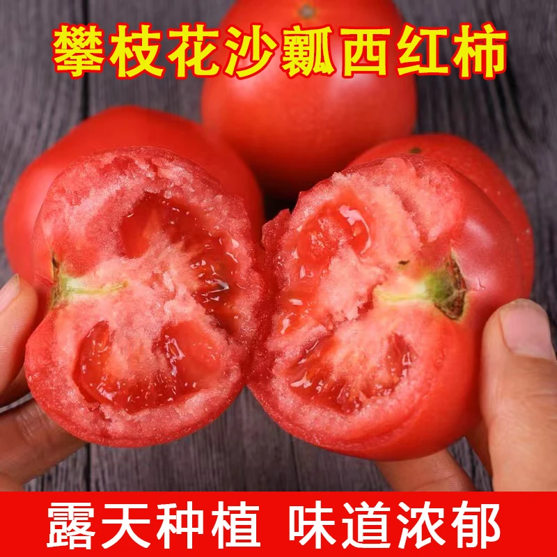 【树上熟】攀枝花老品种沙瓤西红柿新鲜水果生吃蔬菜番茄5斤