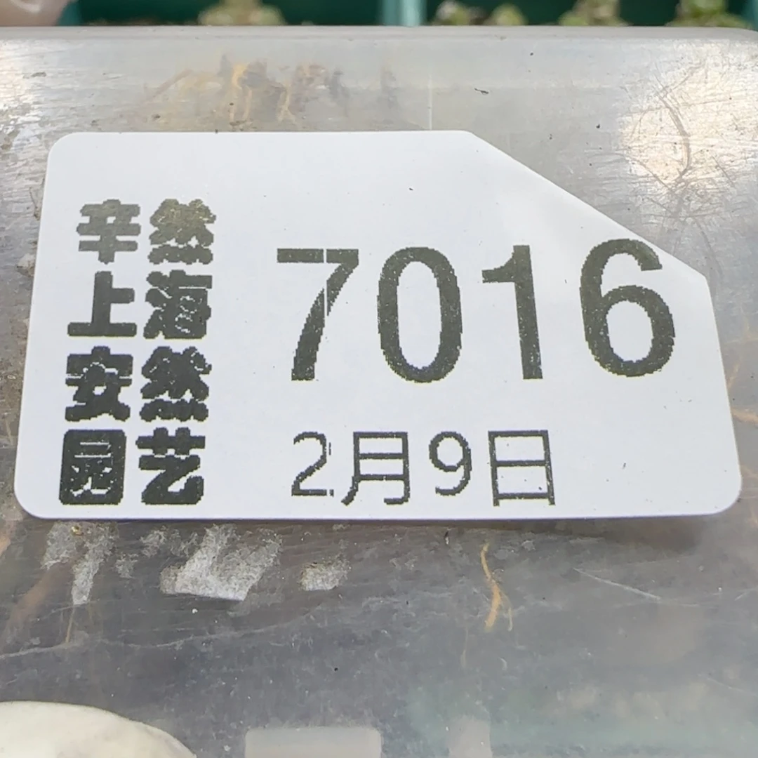 何****ʔ2。9。7016。饼干。19。