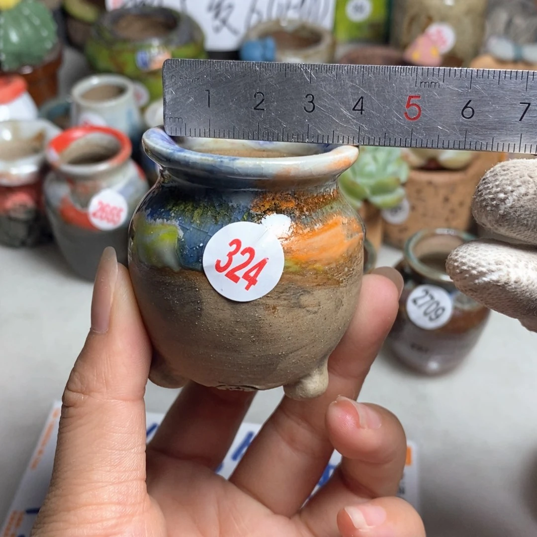 拍5送一个小礼物