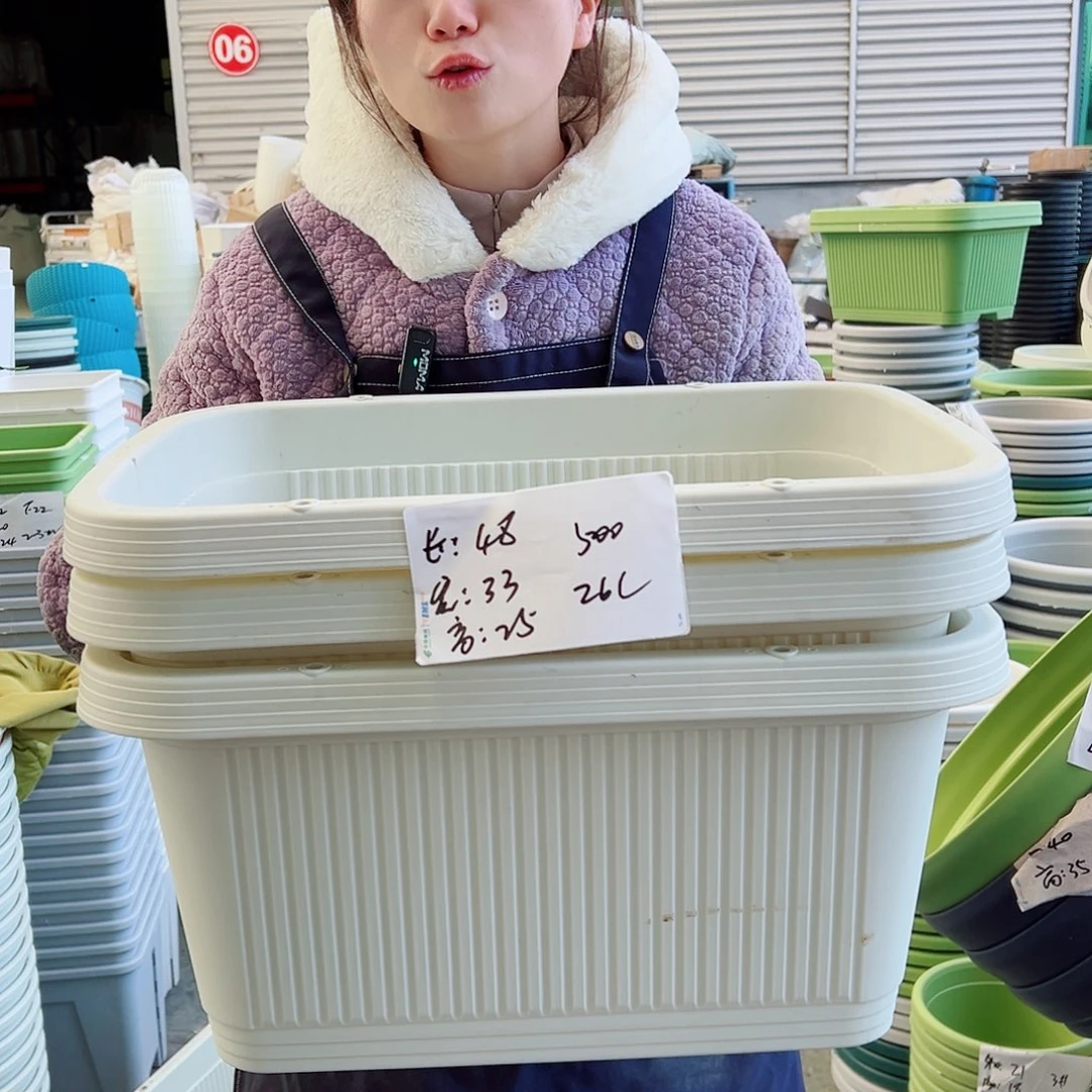 菜盆500#米白3个无托