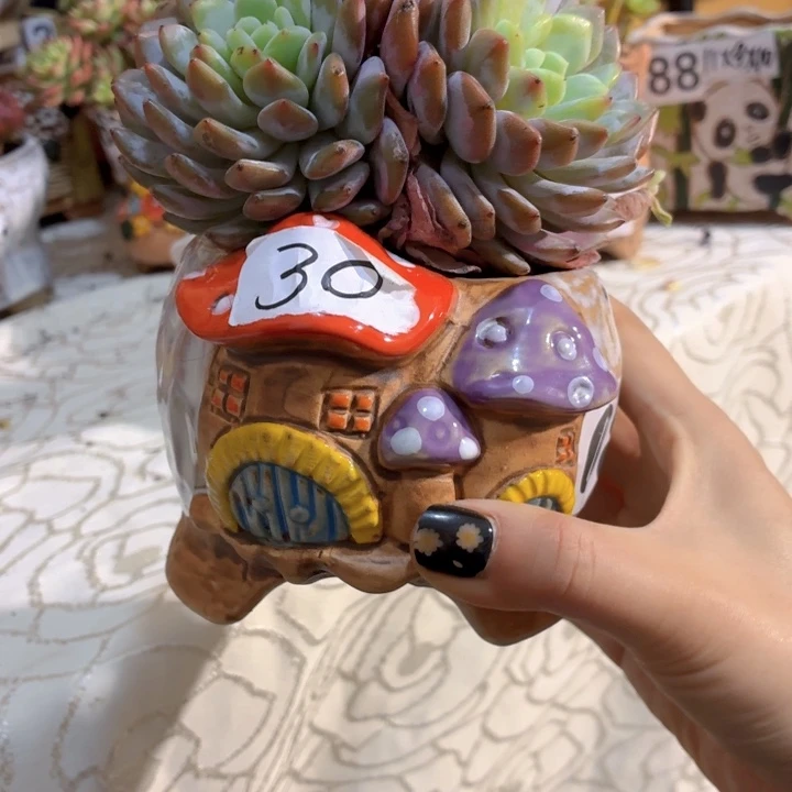 多肉花盆满15包邮