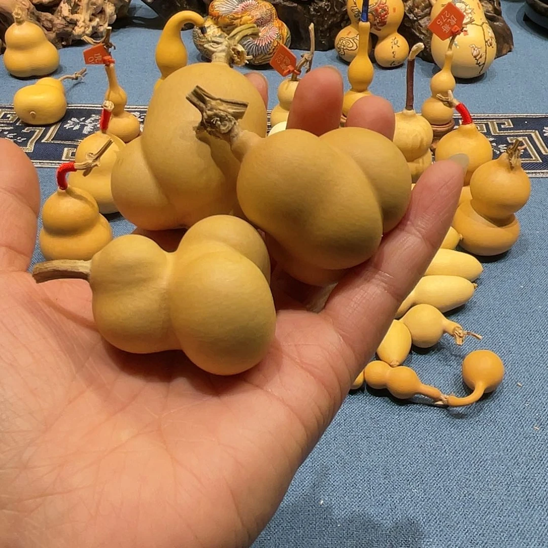 木思*?葫芦等经济林木生长