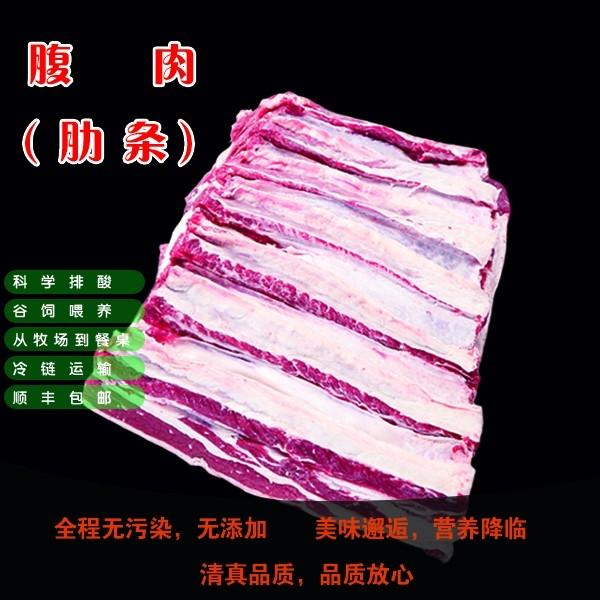 [真牛]肋条肉（优选）4斤 鲁西黄牛 适合白切、烤肉