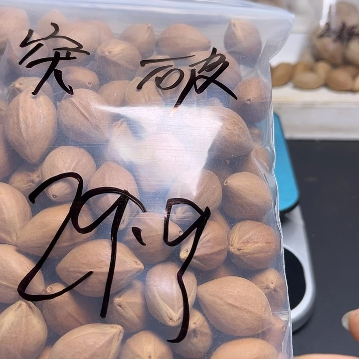 ****破手串/手链橄榄核111