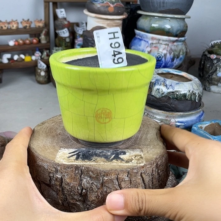 开播福利 陶瓷花盆 默认微次