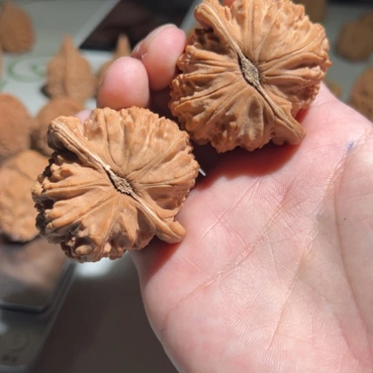 吊坠文玩核桃白狮子