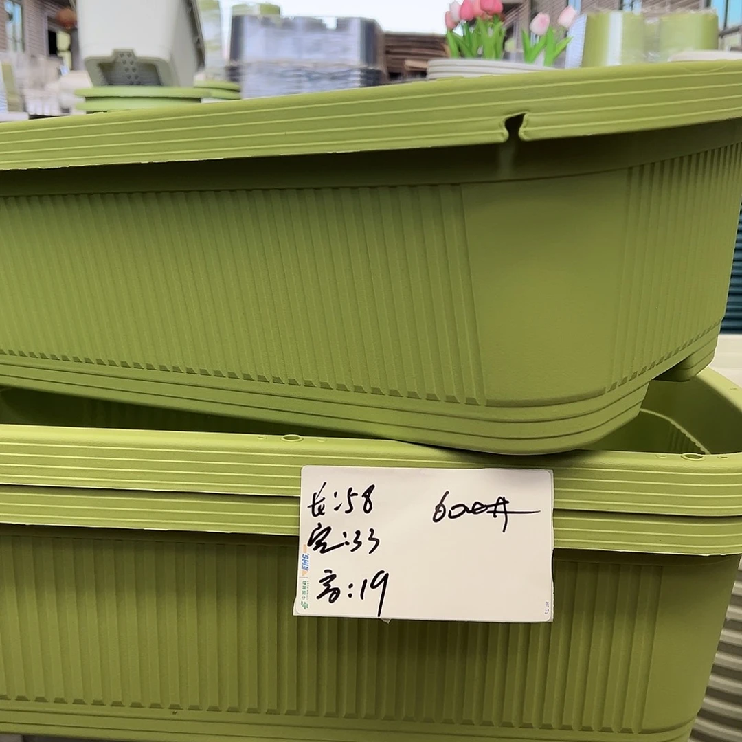 瑕疵菜盆600#果绿3个无托