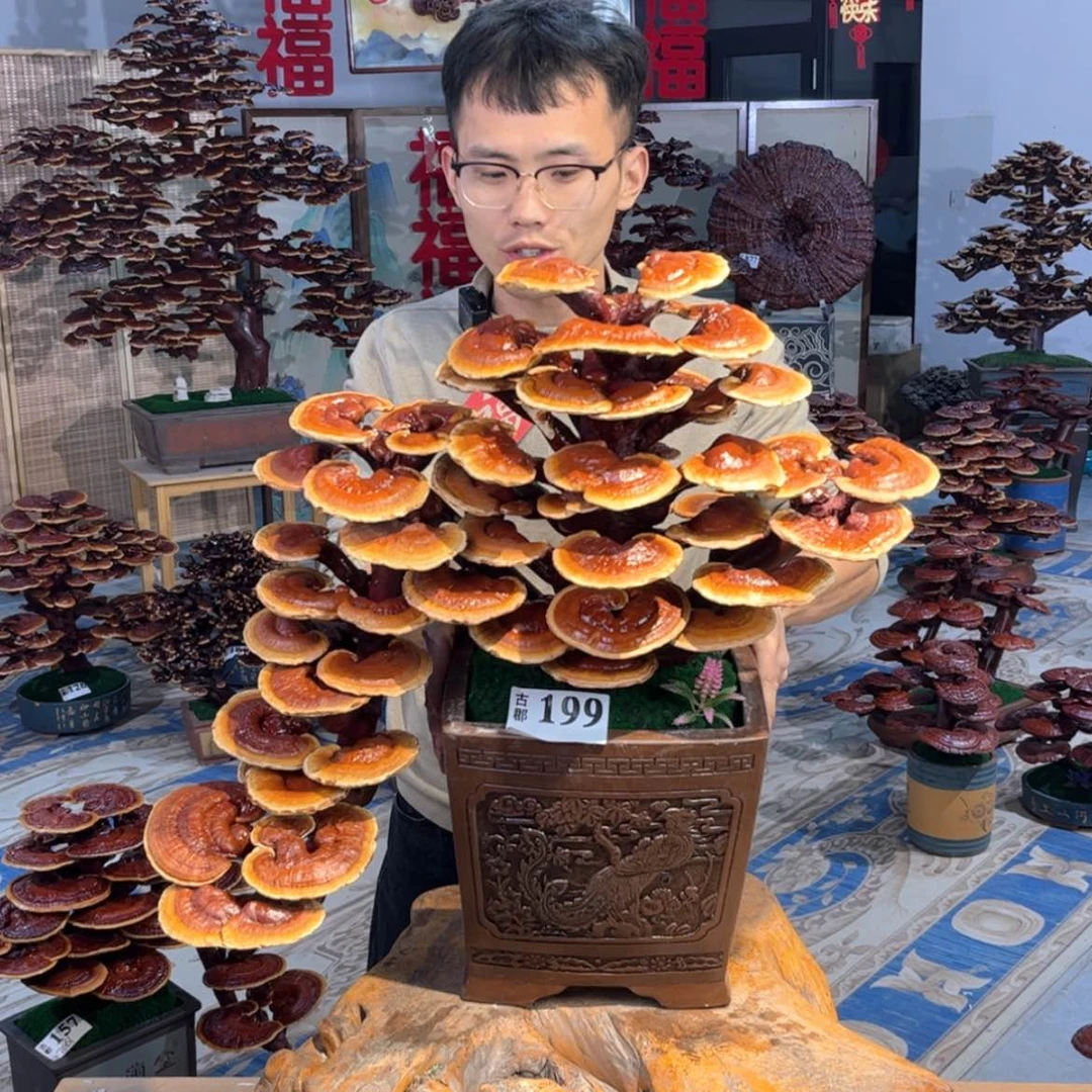 【闪购商品】88888