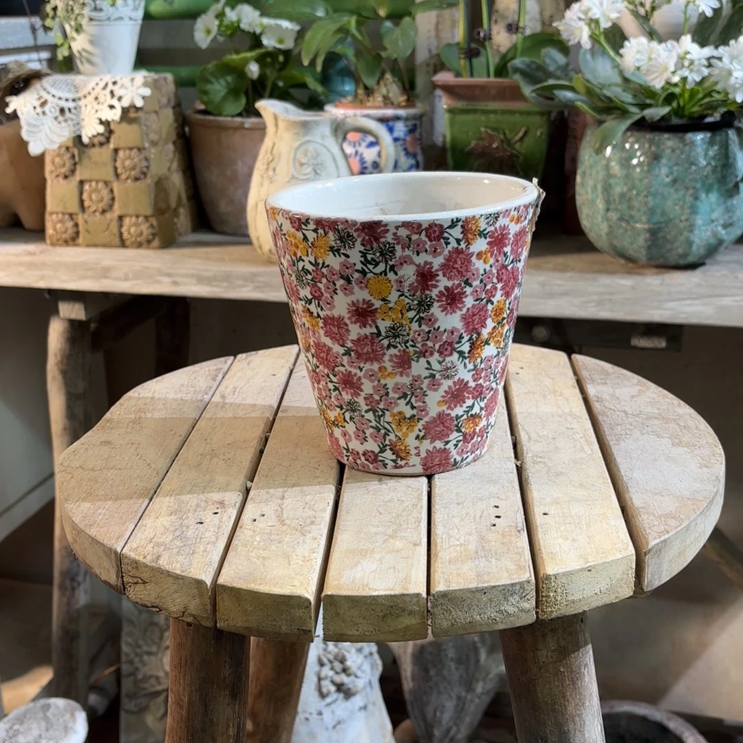 许纯的花房 开播福利