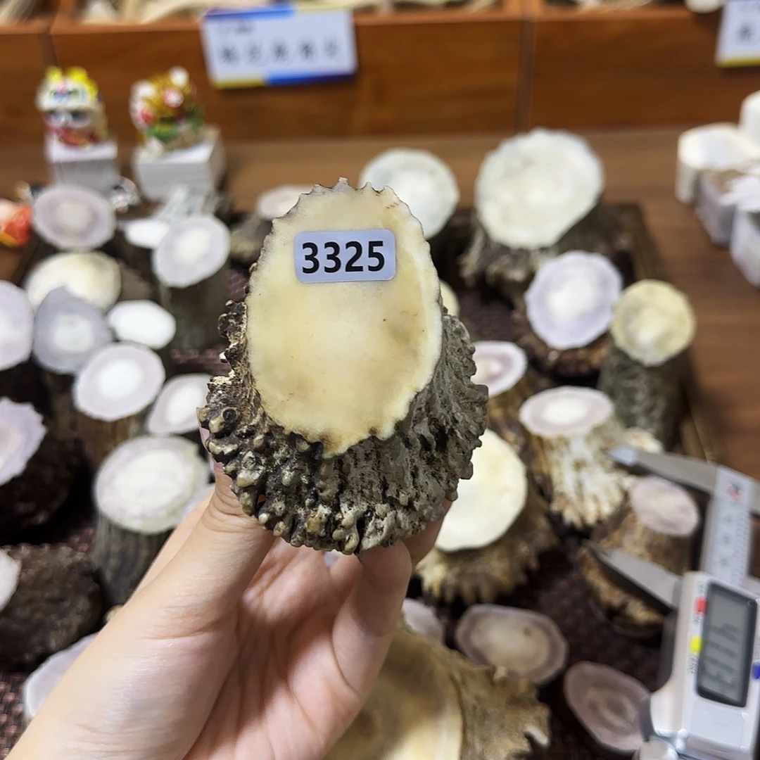 手串/手链鹿骨3325角帽