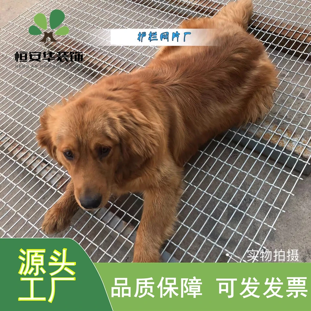 狗笼底网片加粗大型犬笼脚踩网钢丝轧花铁网养殖网片养猪场漏粪网