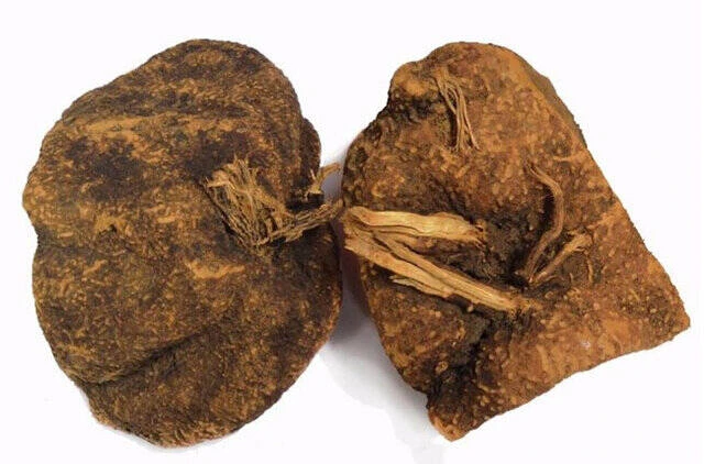 小杨妇女主任专属≈[≈雪≈]非香菇