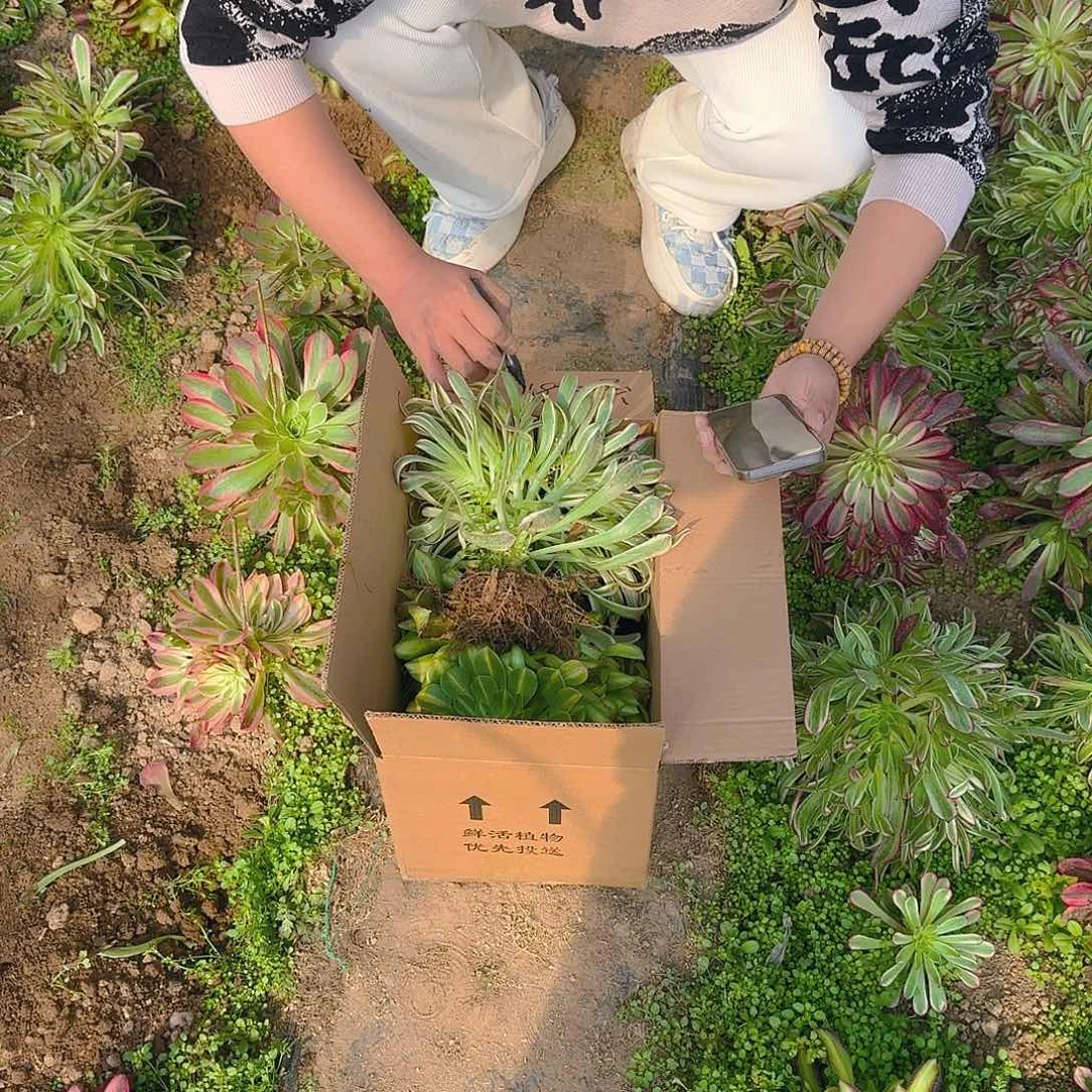 学**单么哦哦哦哦哦