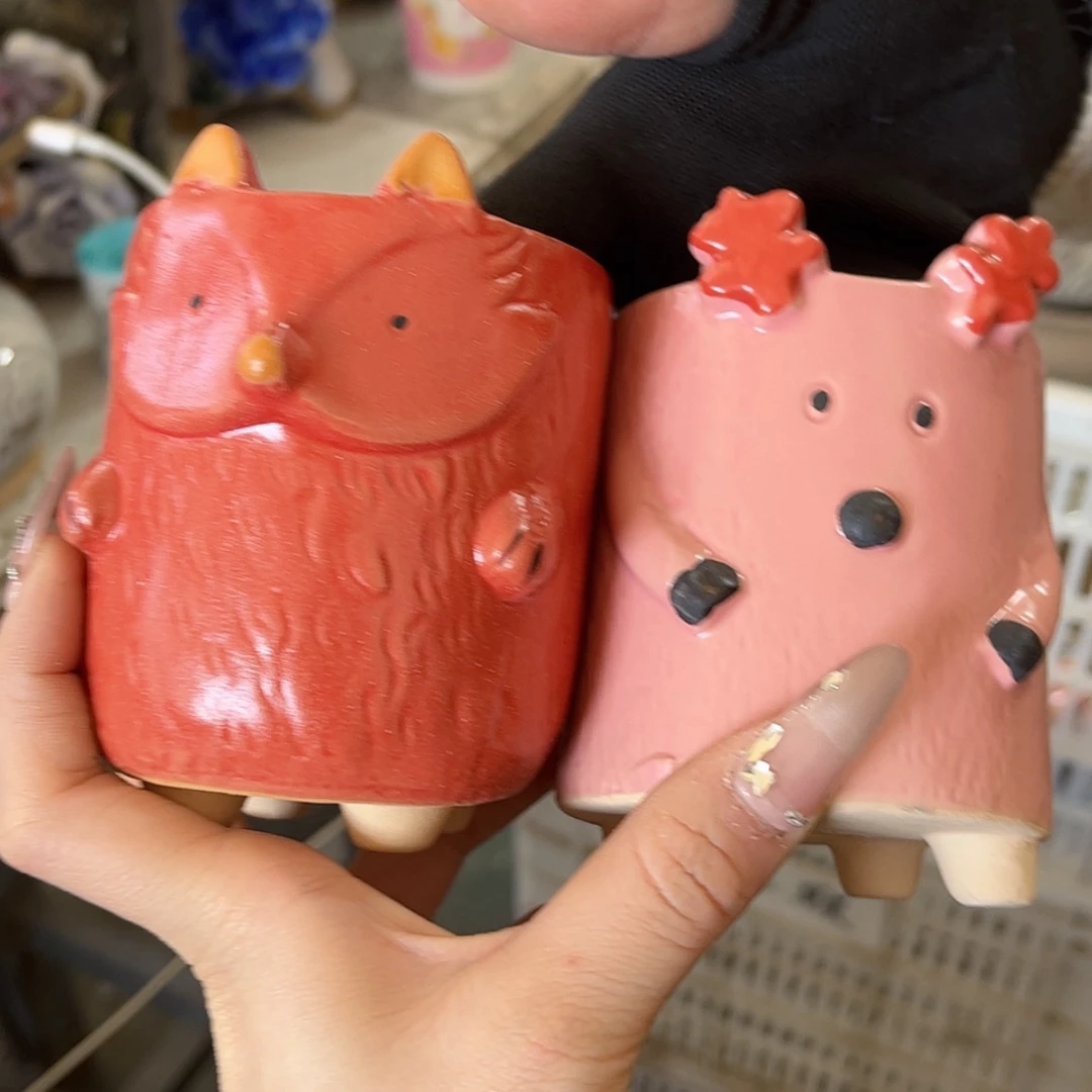 【闪购商品】红陶福利