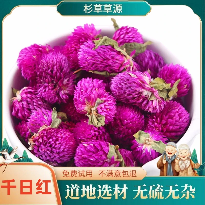 【杉草草源】正品千日红100克干货千日红无硫非肉桂