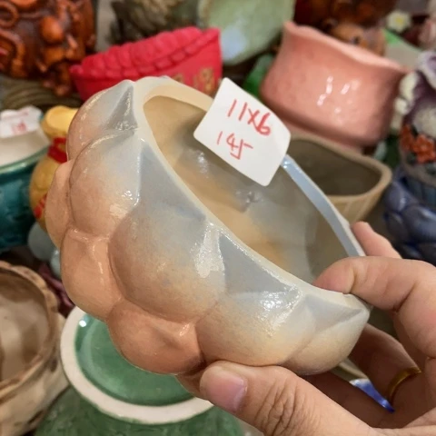 J145粉色的的，的，的，的，d