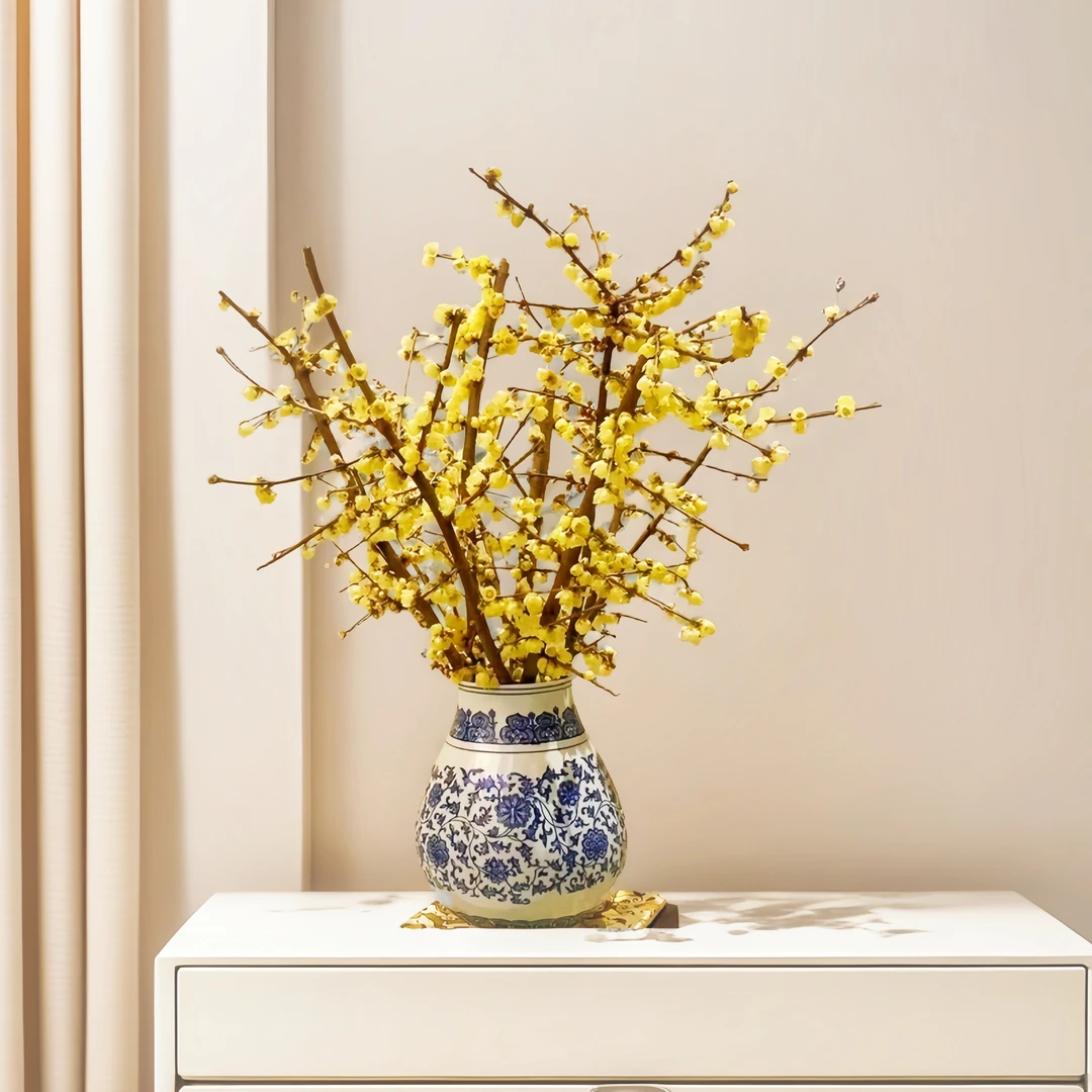 浓香腊梅玉兰花鲜切枝易养护花期长家居装饰年宵花