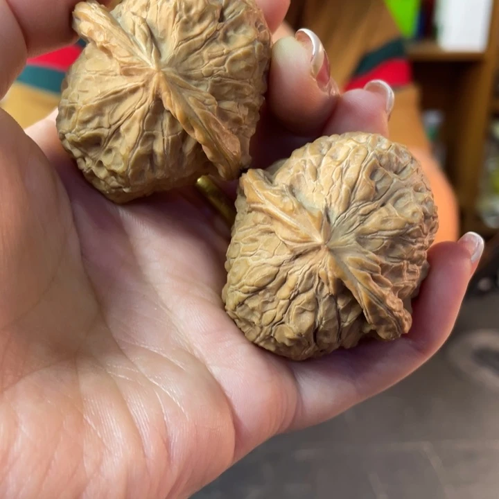 文玩核桃把件南瓜墩44左右